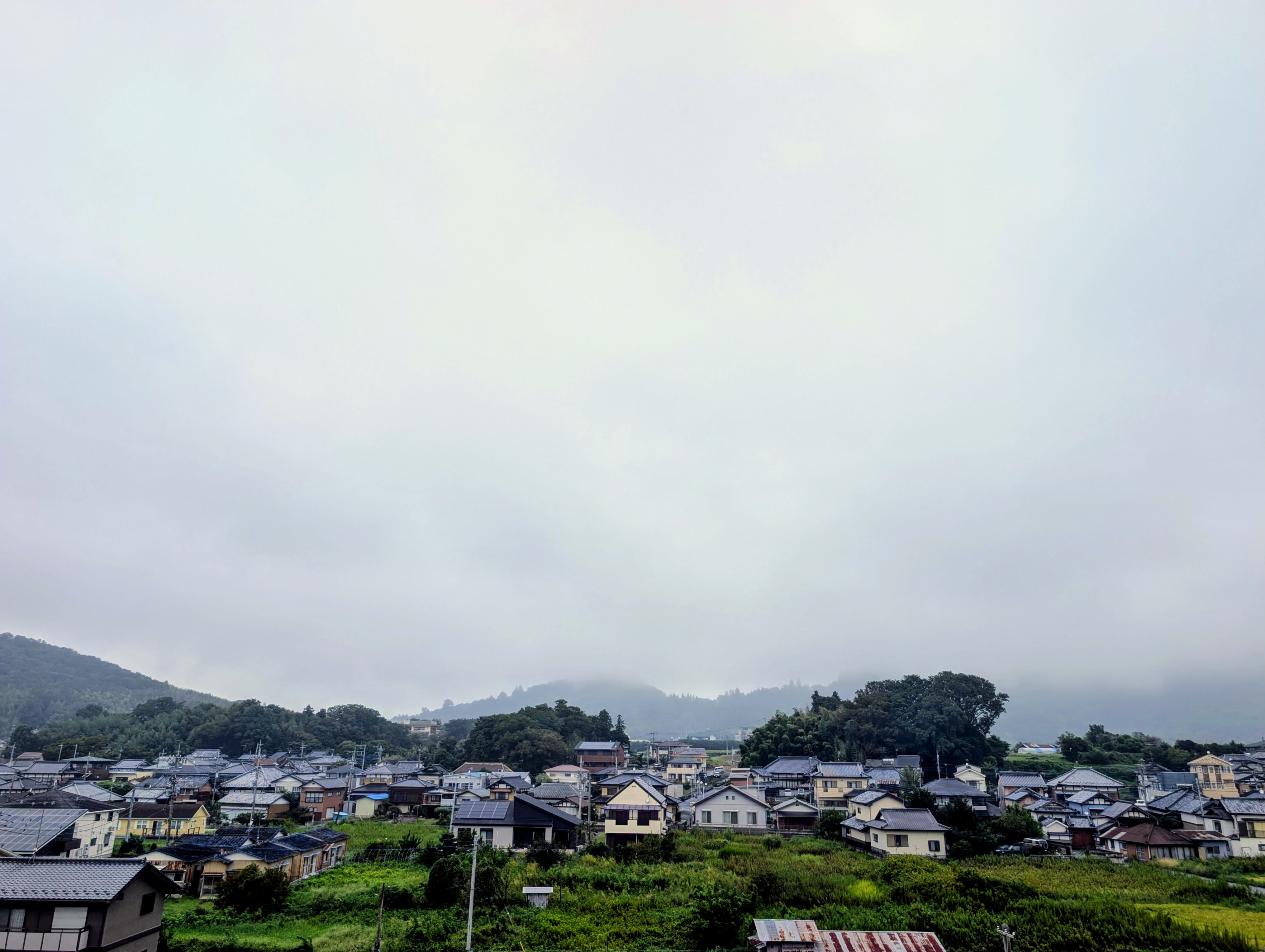 弱い雨が降っています